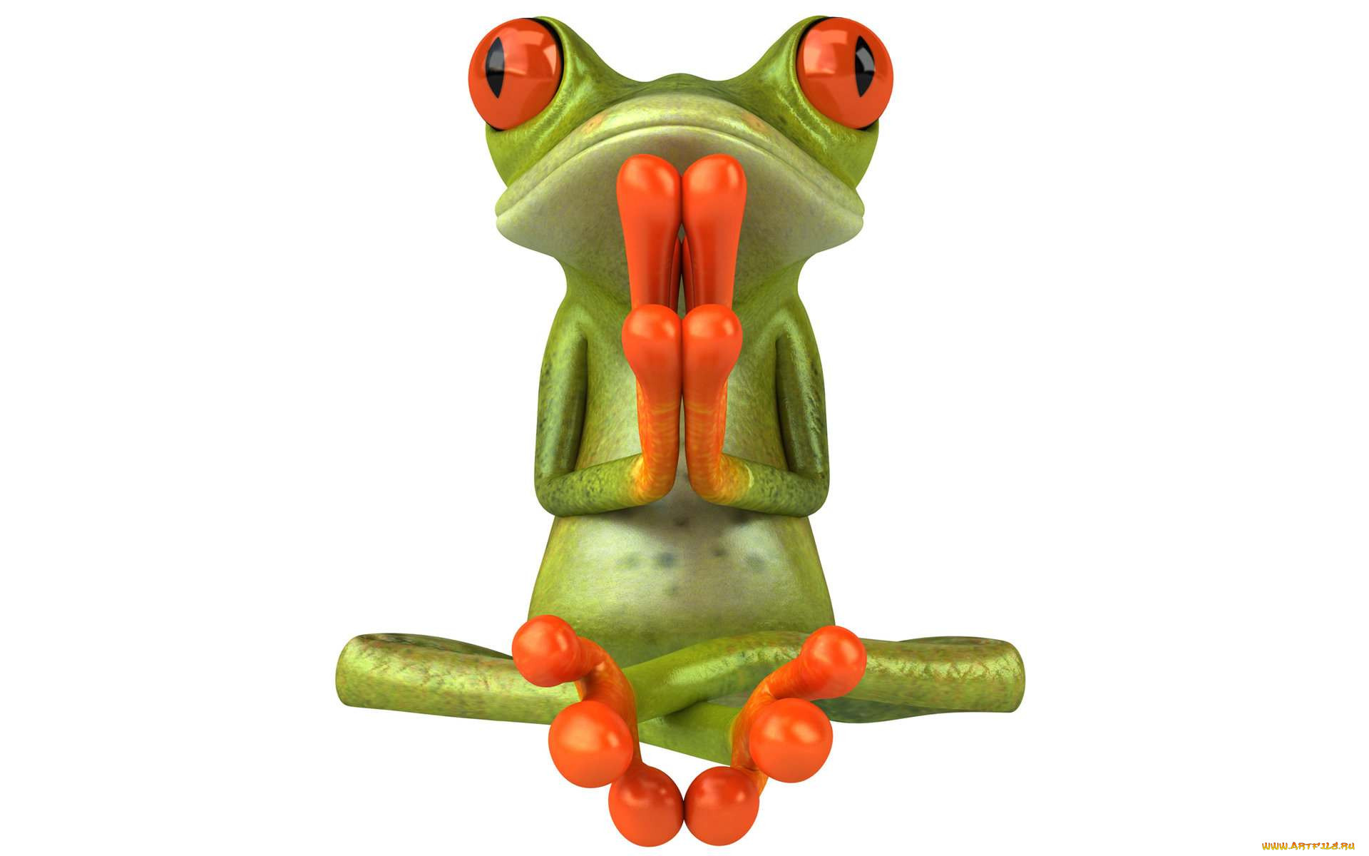 3 ,  , animals, , , 